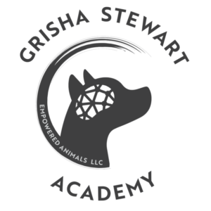 Logo Grisha Stewart Academy